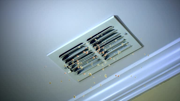 Best Best Air Duct Cleaning Company  in Forest City, IA