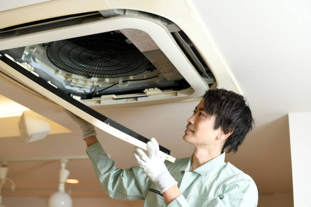 Best Local Air Duct Cleaning Services  in Forest City, IA
