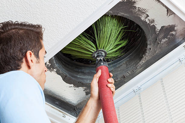 Best Affordable HVAC Duct Cleaning  in Forest City, IA