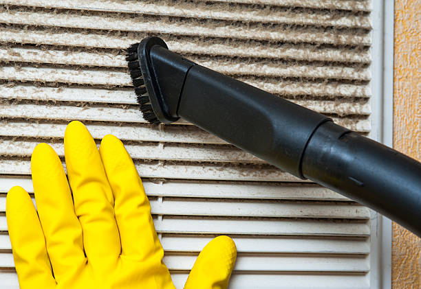 Best Air Duct Sanitizing Services  in Forest City, IA
